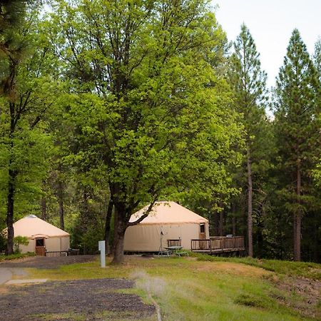 Yosemite Lakes Hillside Yurt 1 Harden Flat Eksteriør billede