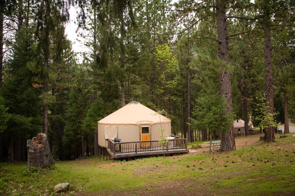 Yosemite Lakes Hillside Yurt 1 Harden Flat Eksteriør billede
