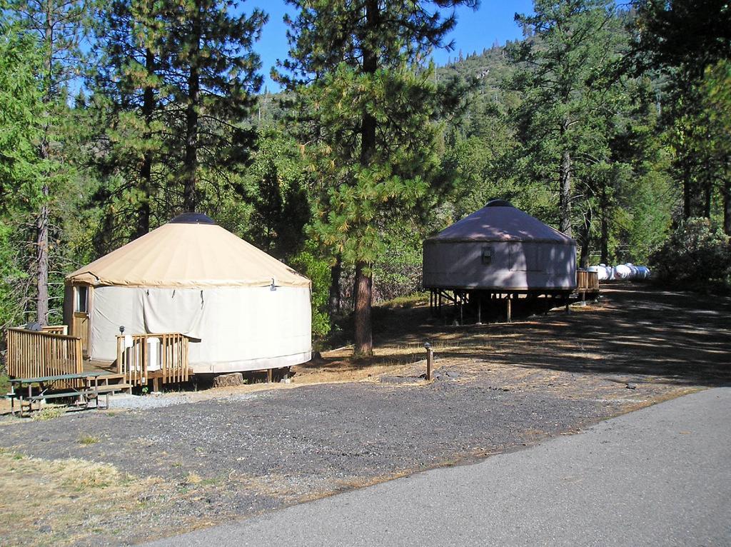 Yosemite Lakes Hillside Yurt 1 Harden Flat Eksteriør billede