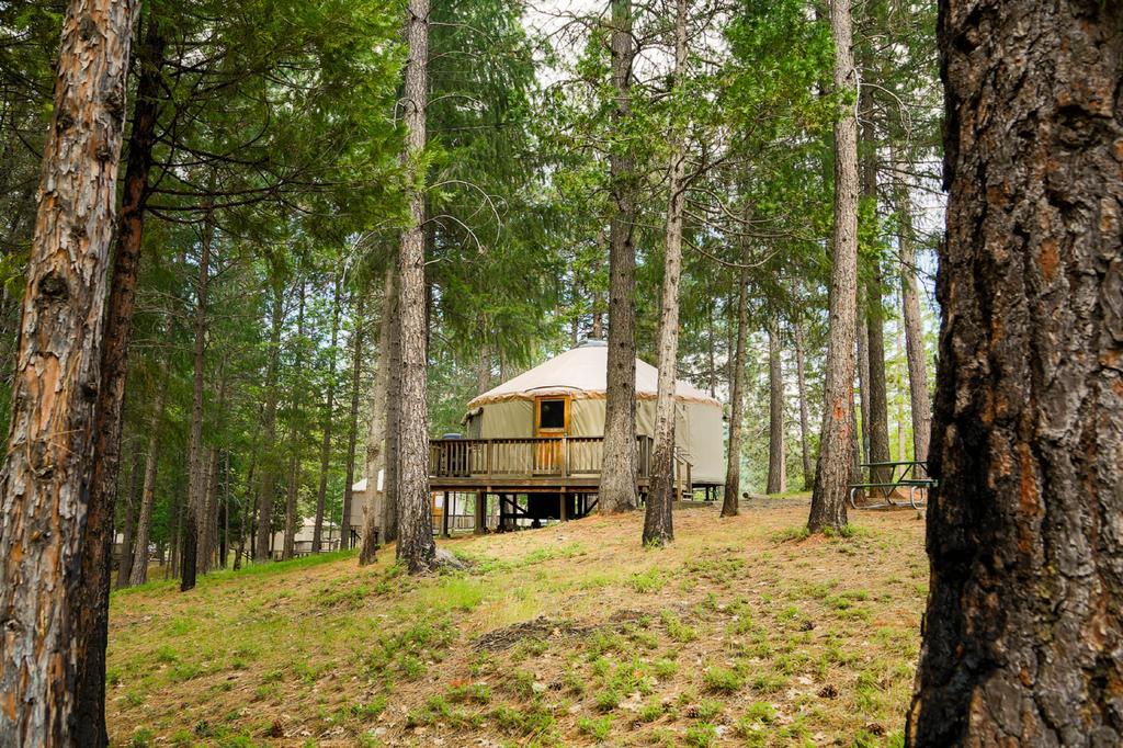 Yosemite Lakes Hillside Yurt 1 Harden Flat Eksteriør billede