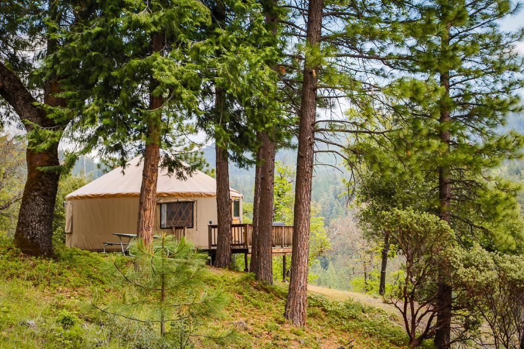 Yosemite Lakes Hillside Yurt 1 Harden Flat Eksteriør billede
