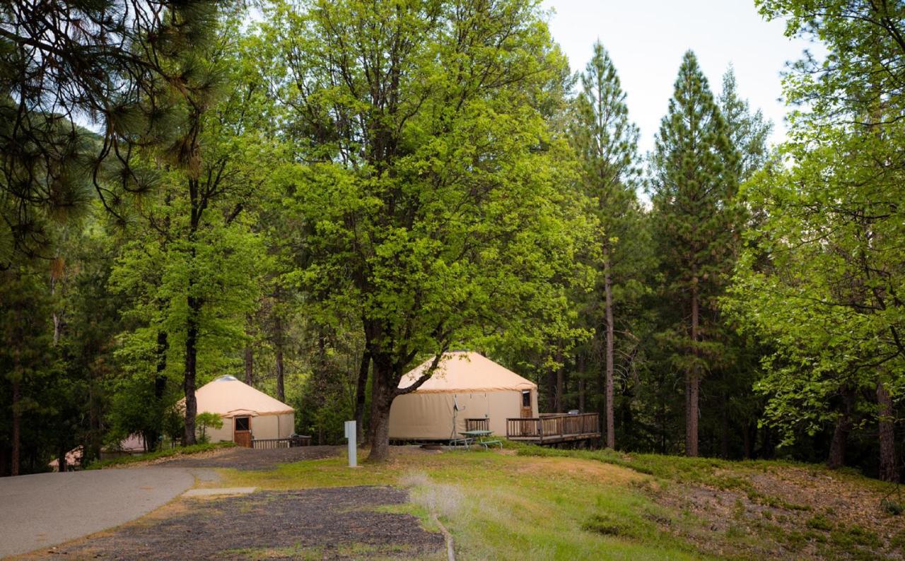 Yosemite Lakes Hillside Yurt 1 Harden Flat Eksteriør billede